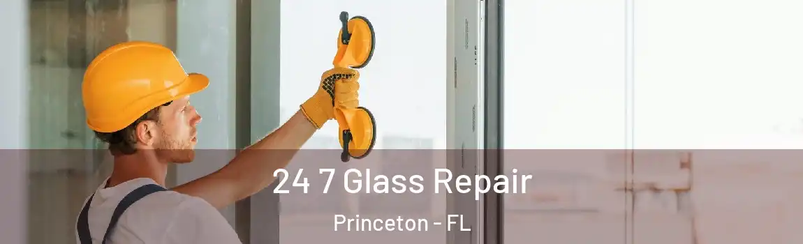 24 7 Glass Repair Princeton - FL