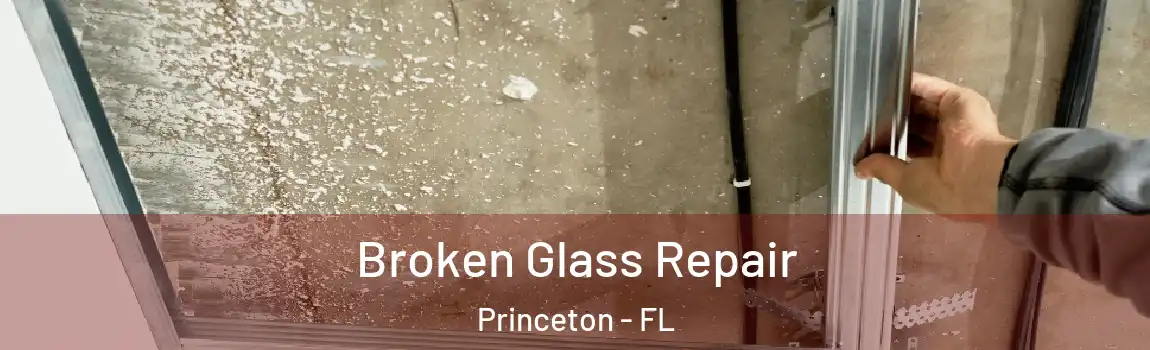  Broken Glass Repair Princeton - FL