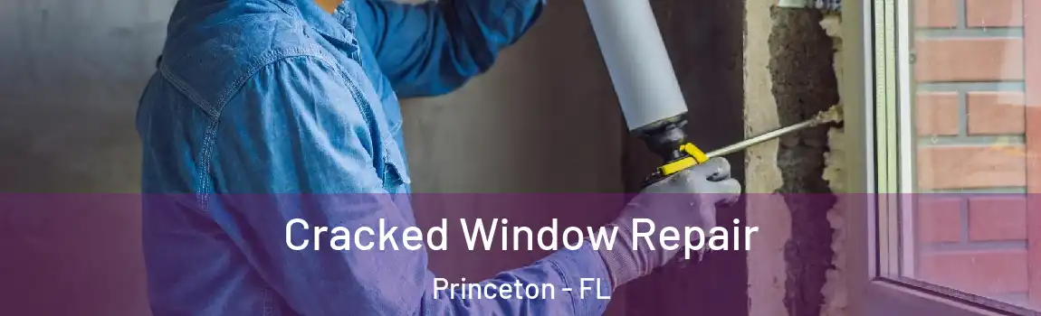 Cracked Window Repair Princeton - FL