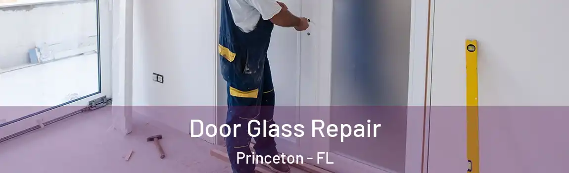  Door Glass Repair Princeton - FL