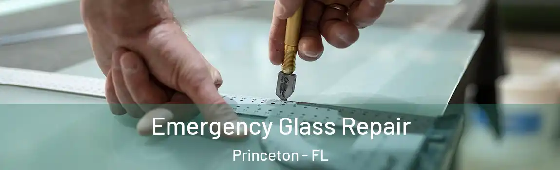  Emergency Glass Repair Princeton - FL