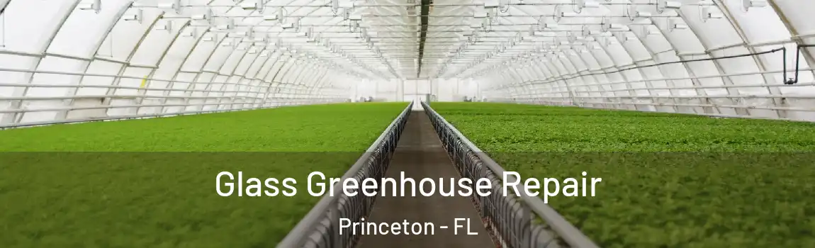  Glass Greenhouse Repair Princeton - FL