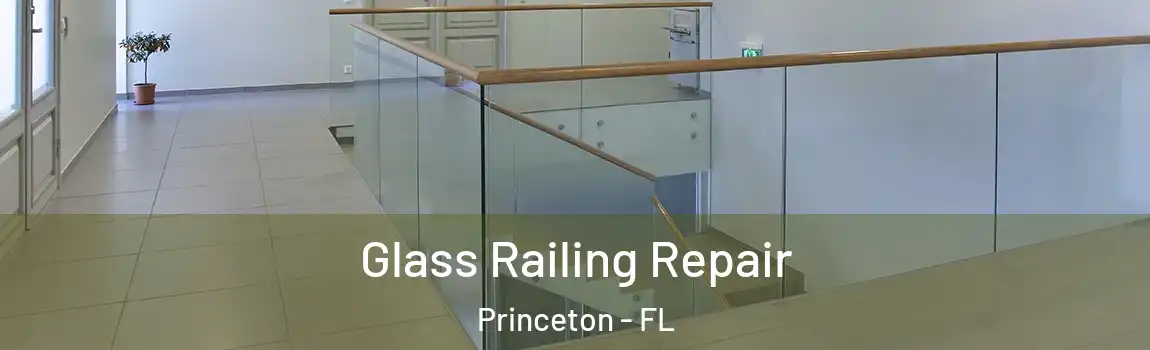 Glass Railing Repair Princeton - FL