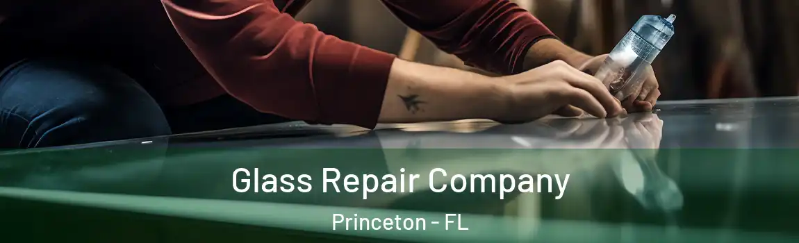 Glass Repair Company Princeton - FL