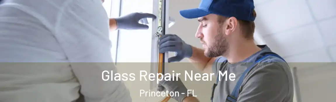  Glass Repair Near Me Princeton - FL