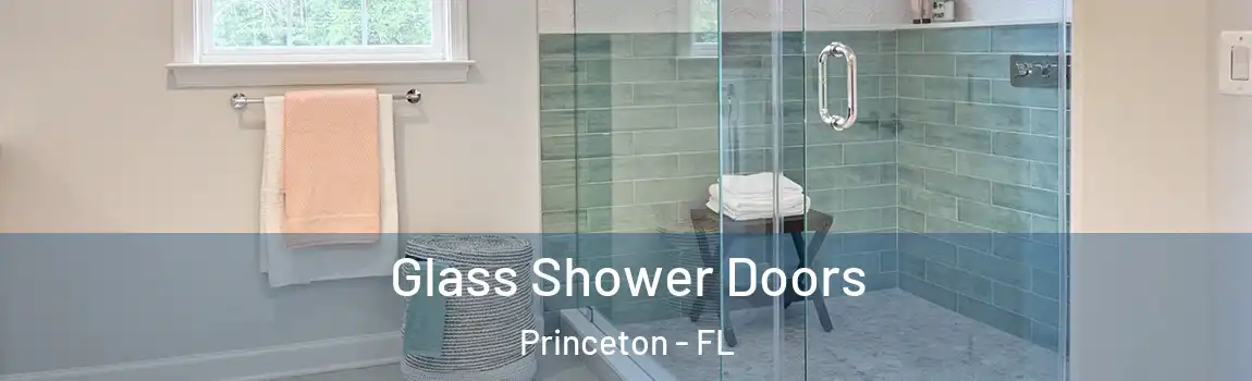Glass Shower Doors Princeton - FL