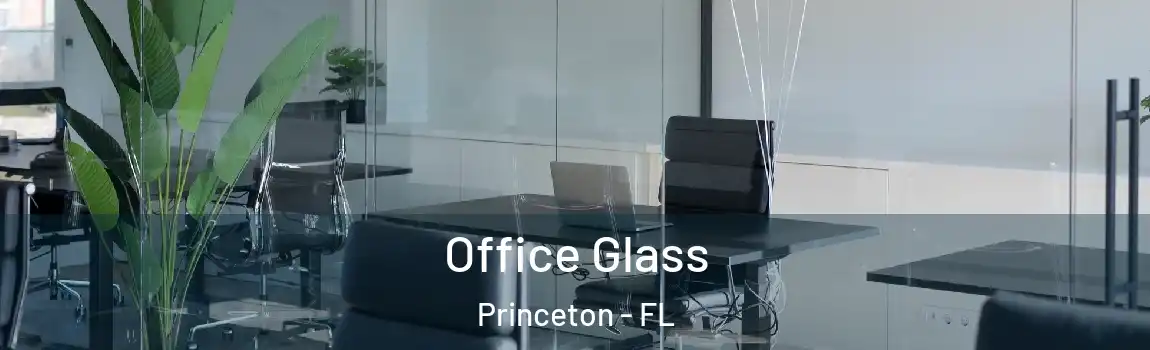  Office Glass Princeton - FL