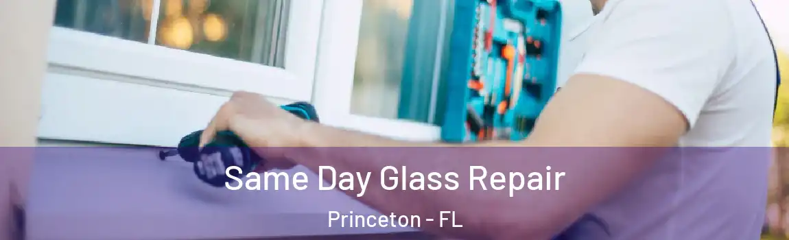 Same Day Glass Repair Princeton - FL