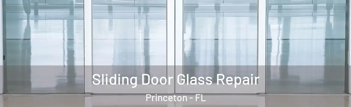 Sliding Door Glass Repair Princeton - FL