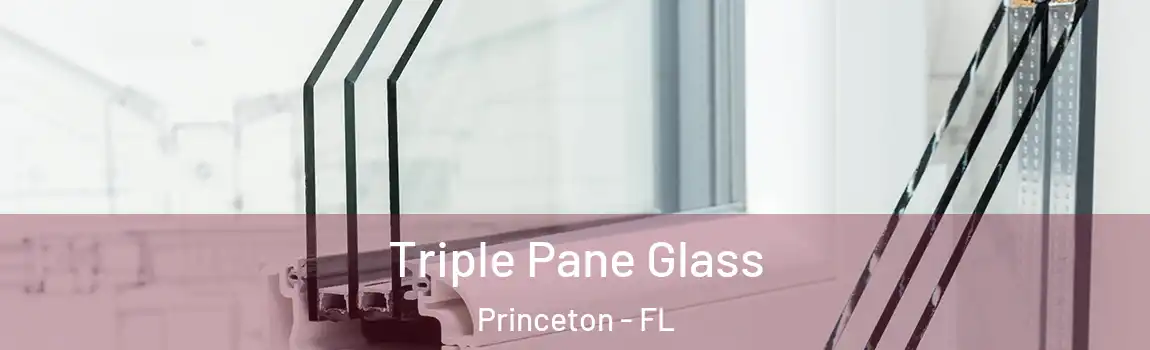 Triple Pane Glass Princeton - FL