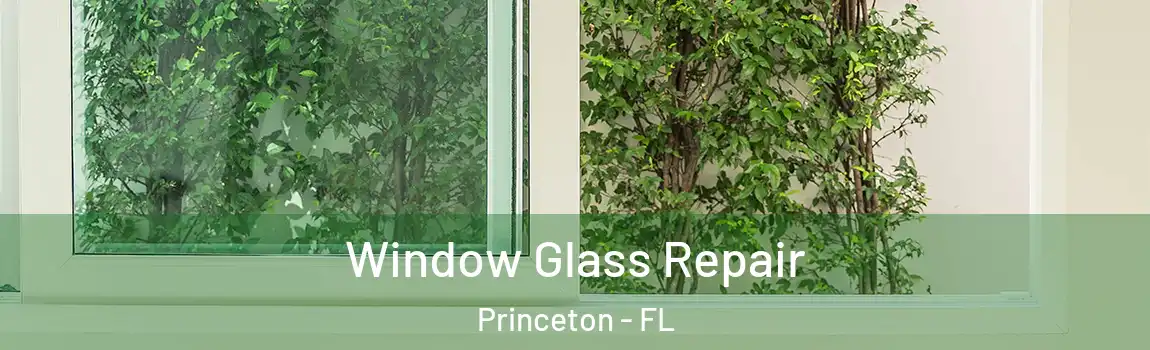 Window Glass Repair Princeton - FL