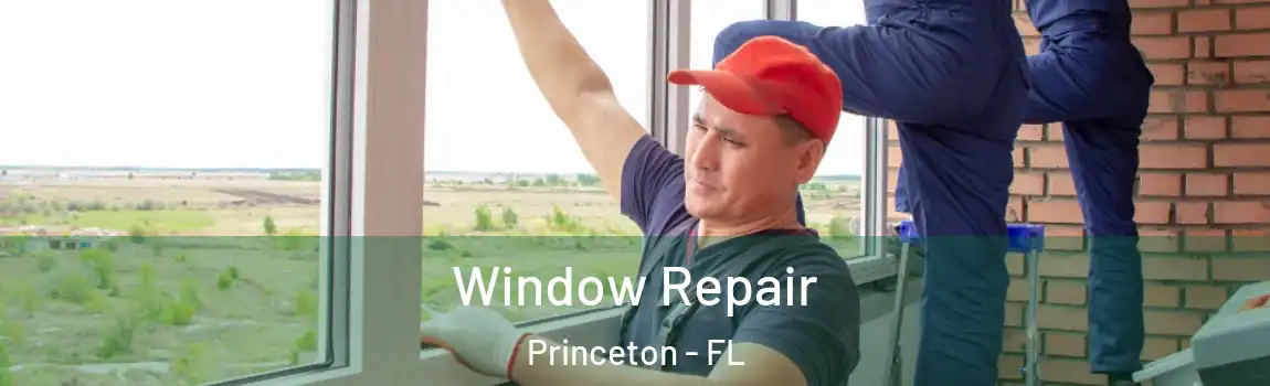  Window Repair Princeton - FL
