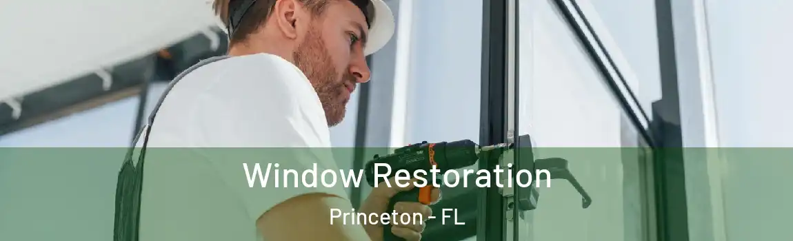  Window Restoration Princeton - FL