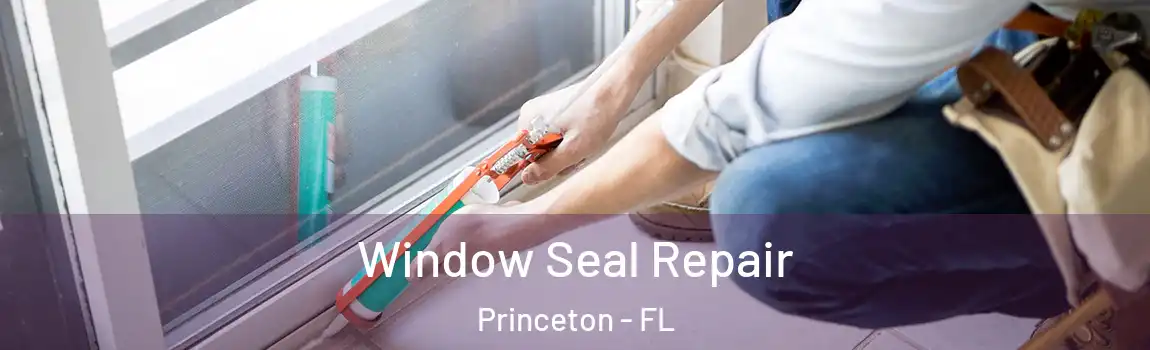 Window Seal Repair Princeton - FL